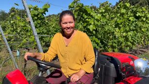 Den Plettede Hest om Antonio Carraro TTR 440 forhandlet hos Anker Bjerre A/S