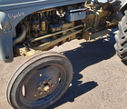 Ferguson 31