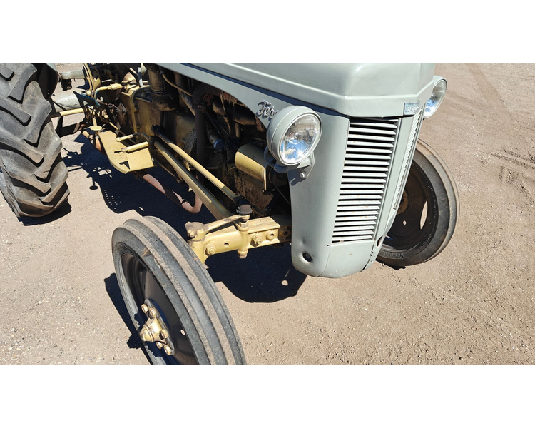 Ferguson 31