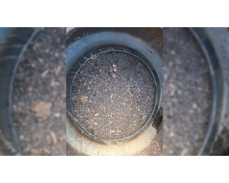 Goodyear 540/65R30 XXX
