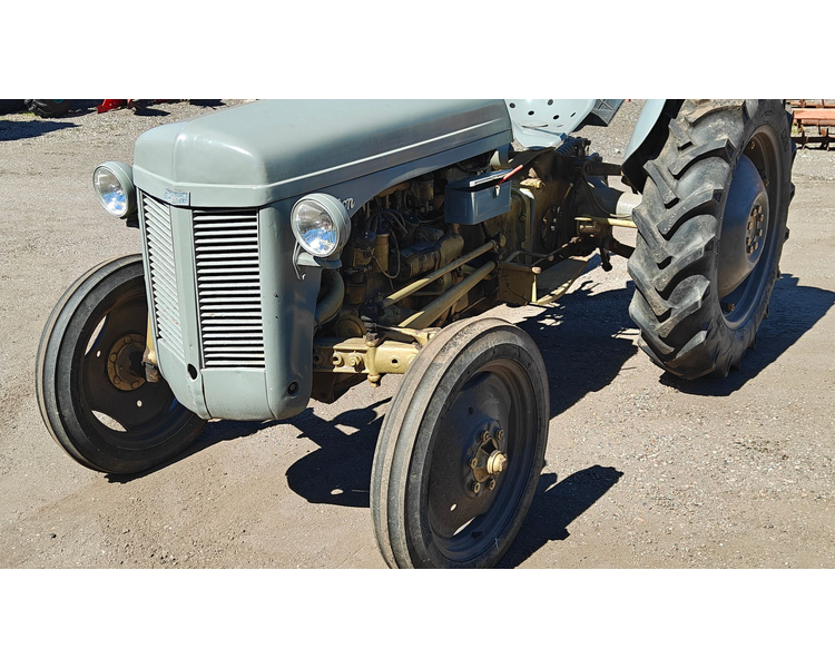 Ferguson 31