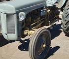 Ferguson 31