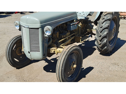 Ferguson 31