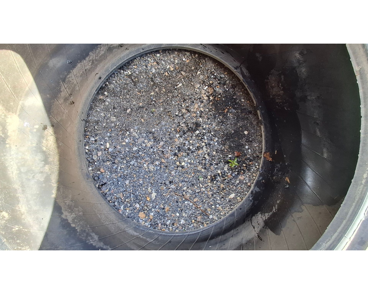 Trelleborg 650/60R34 XXX