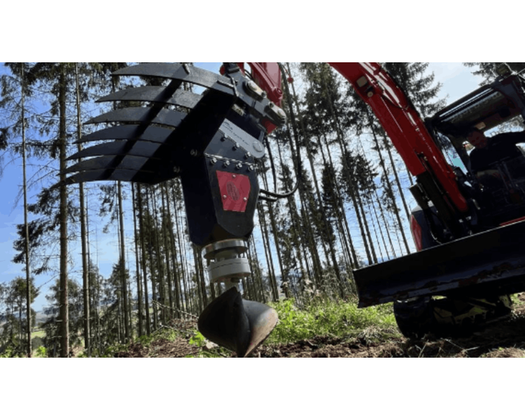 Black Splitter Plantebor