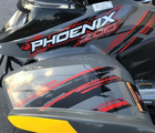 Polaris Phoenix 200
