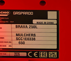 Maschio Brava 250