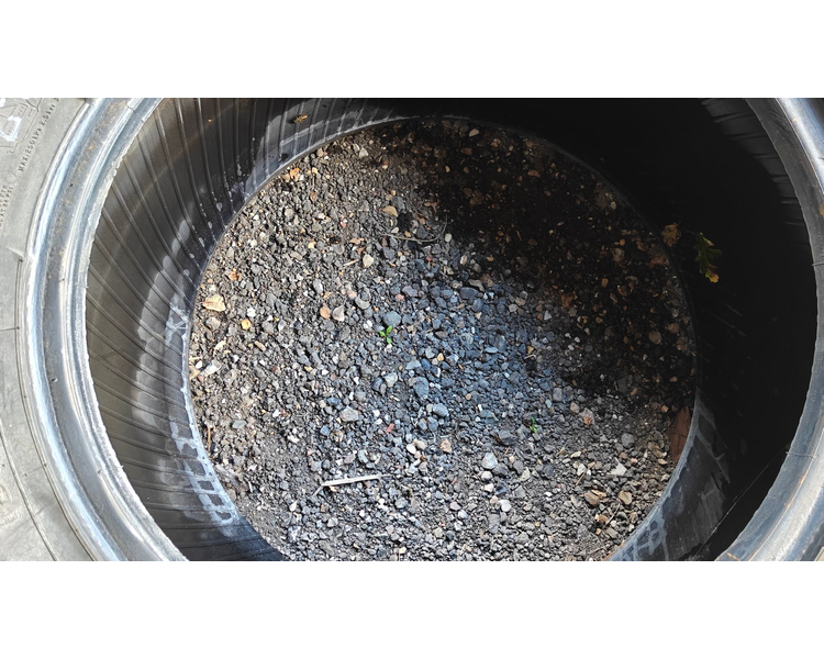 Michelin 13.6 R24 XXX