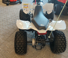 Polaris Outlaw 110