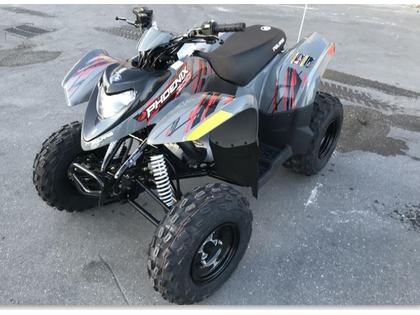 Polaris Phoenix 200