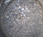 Firestone 600/65 R28 XXX