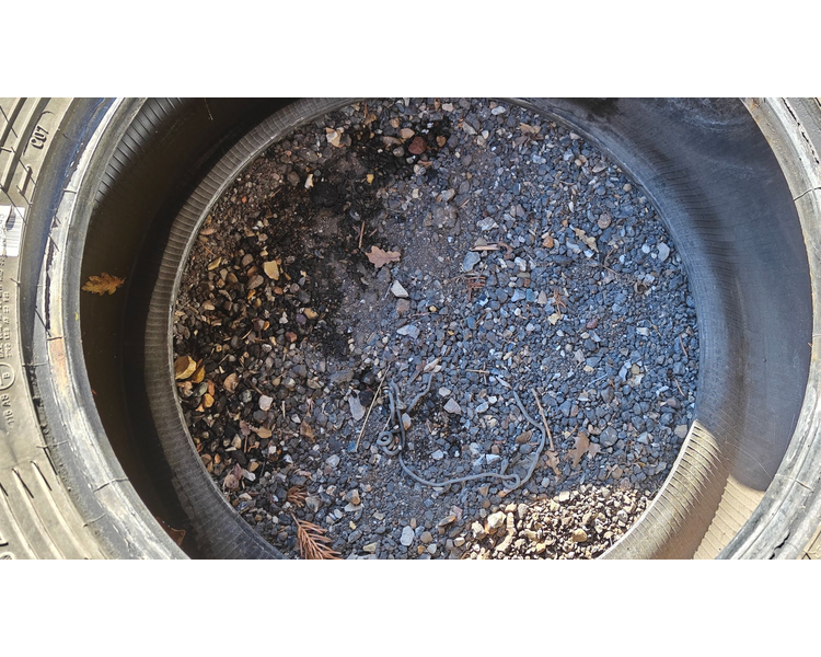 Goodyear 320/70R24 XXX