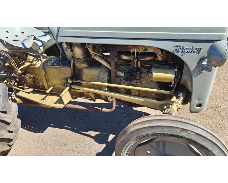 Ferguson 31
