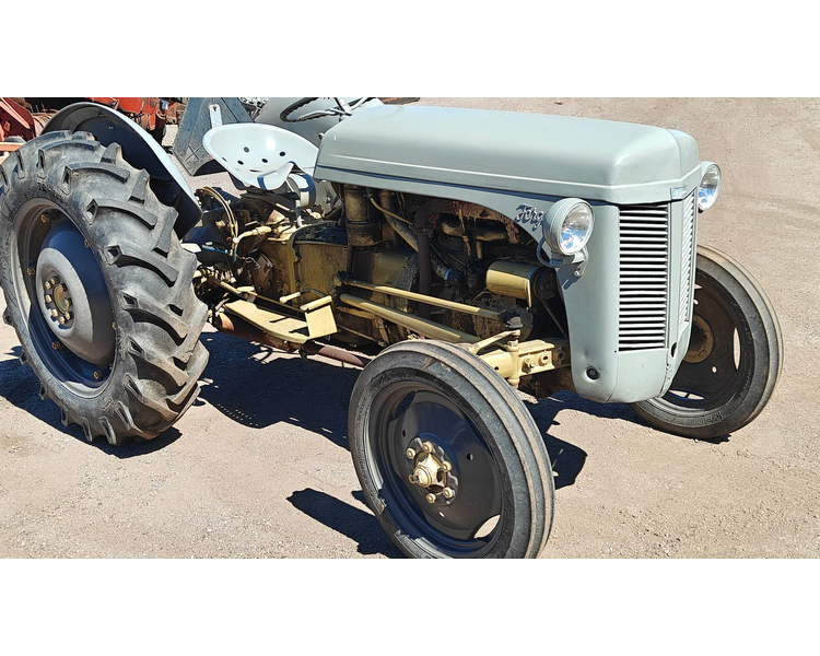 Ferguson 31