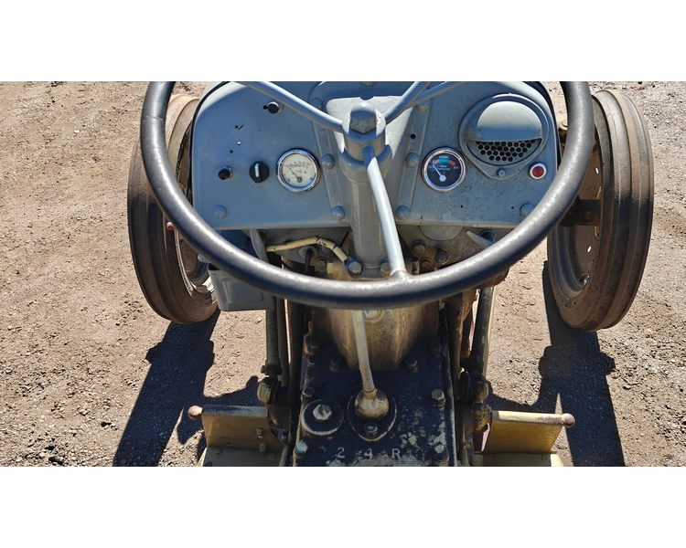 Ferguson 31