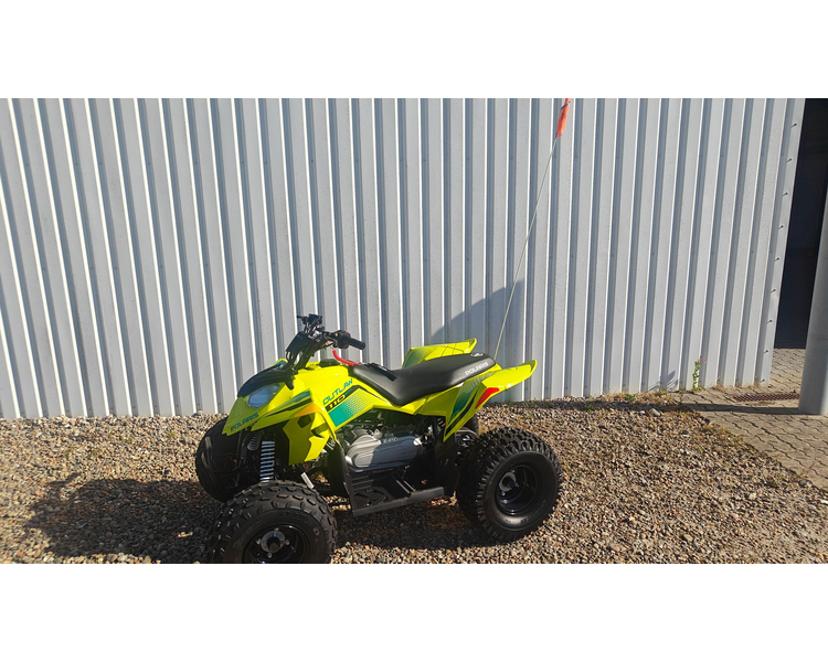 Polaris Outlaw 110 EFI