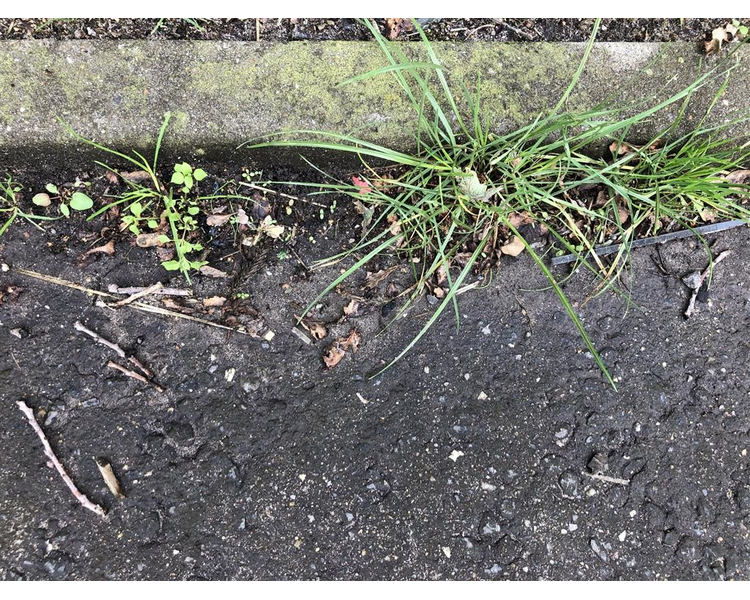 Universal Ukrudtsbørste  TIL ALLE TYPER MINILÆSSER