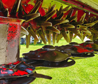Lely Splendimo 320FC