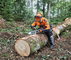 Stihl Hjelmsæt DYNAMIC Light 