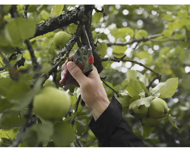 Husqvarna beskærersaks - Large | Anker Bjerre A/S