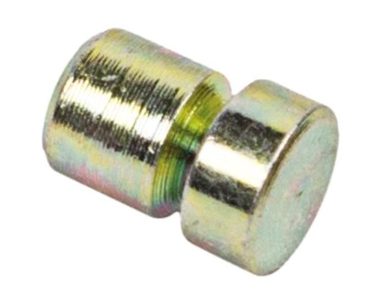 Brydningspin (år 2001 >), guld