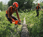 Husqvarna Akku-kædesav 435I u/batteri og lader | Anker Bjerre A/S