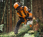 Stihl motorsav MS 300.0 C-M | Anker Bjerre A/S