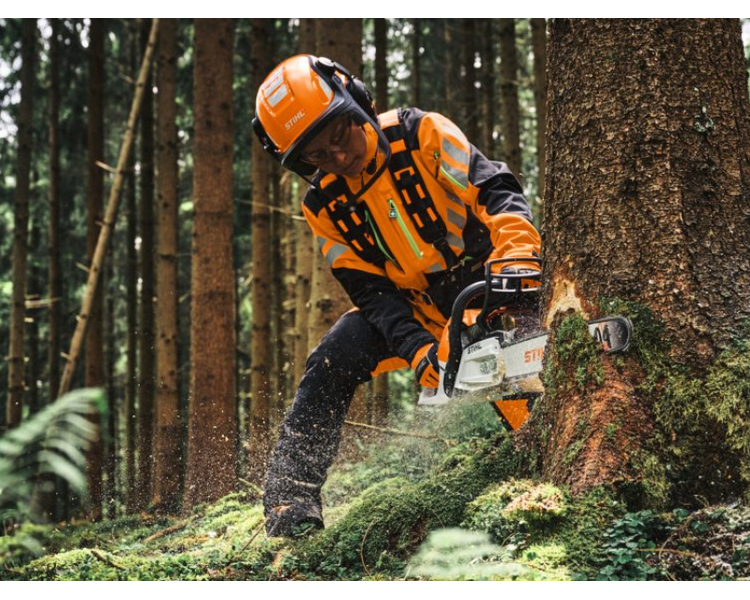 Stihl motorsav MS 300.0 C-M | Anker Bjerre A/S