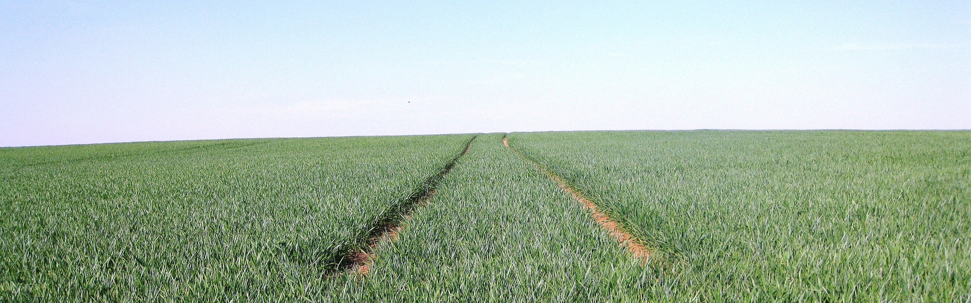 Anker Bjerre AS tænker miljø og bæredygtighed