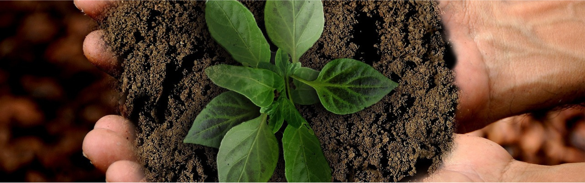 Anker Bjerre AS tænker miljø og bæredygtighed