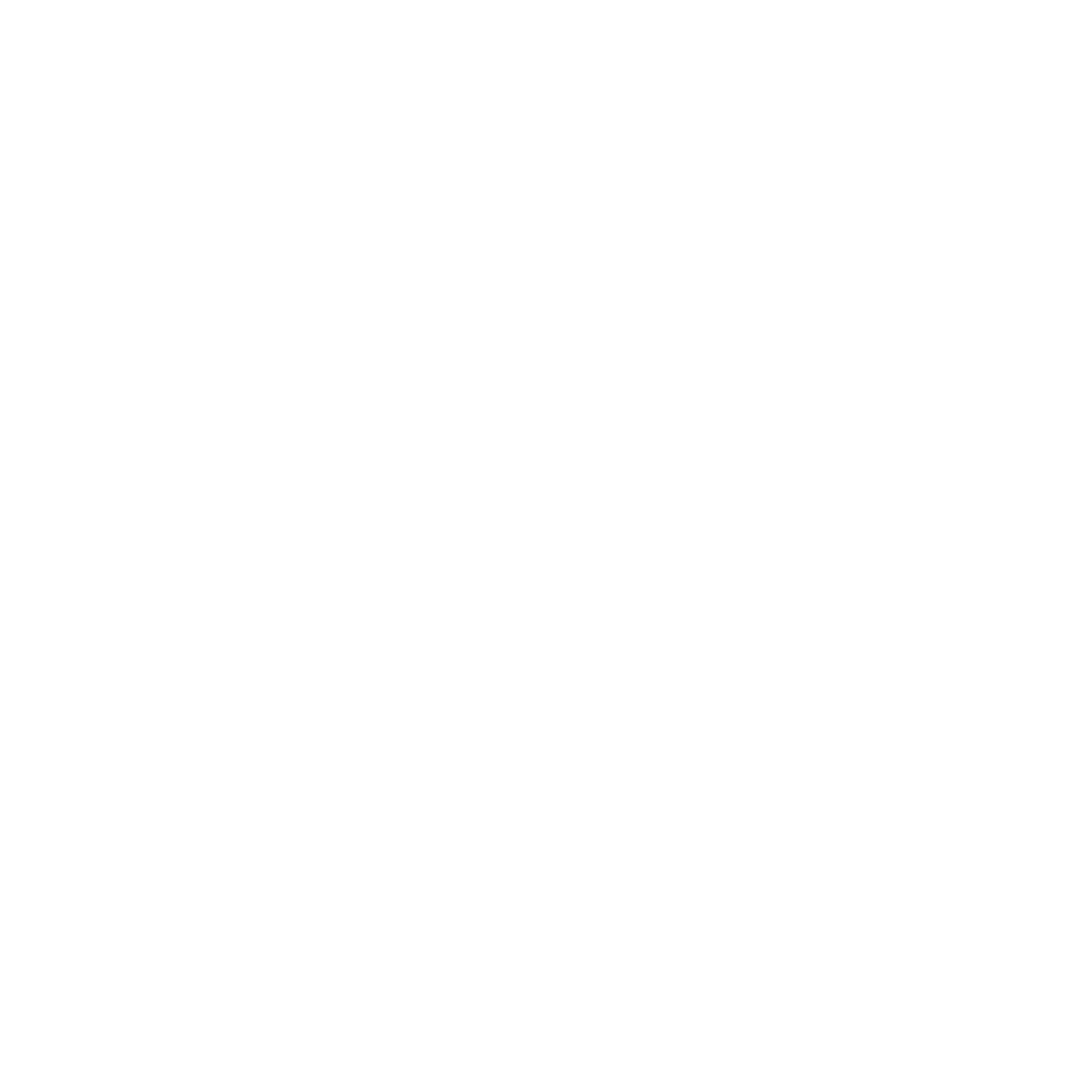 ENTREPREN&Oslash;R -ikon